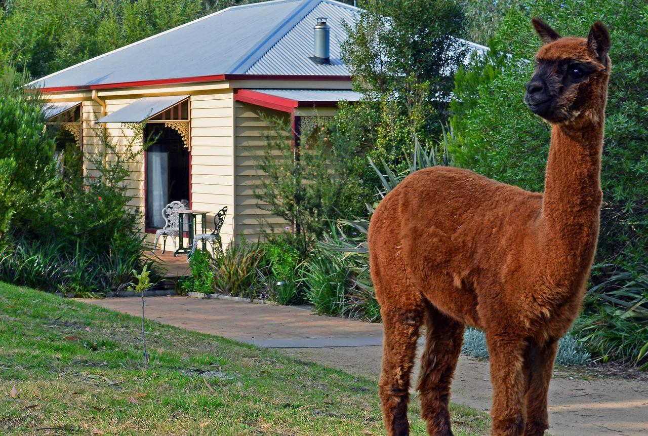 Araluen Park Cottages Lakes Entrance Extérieur photo