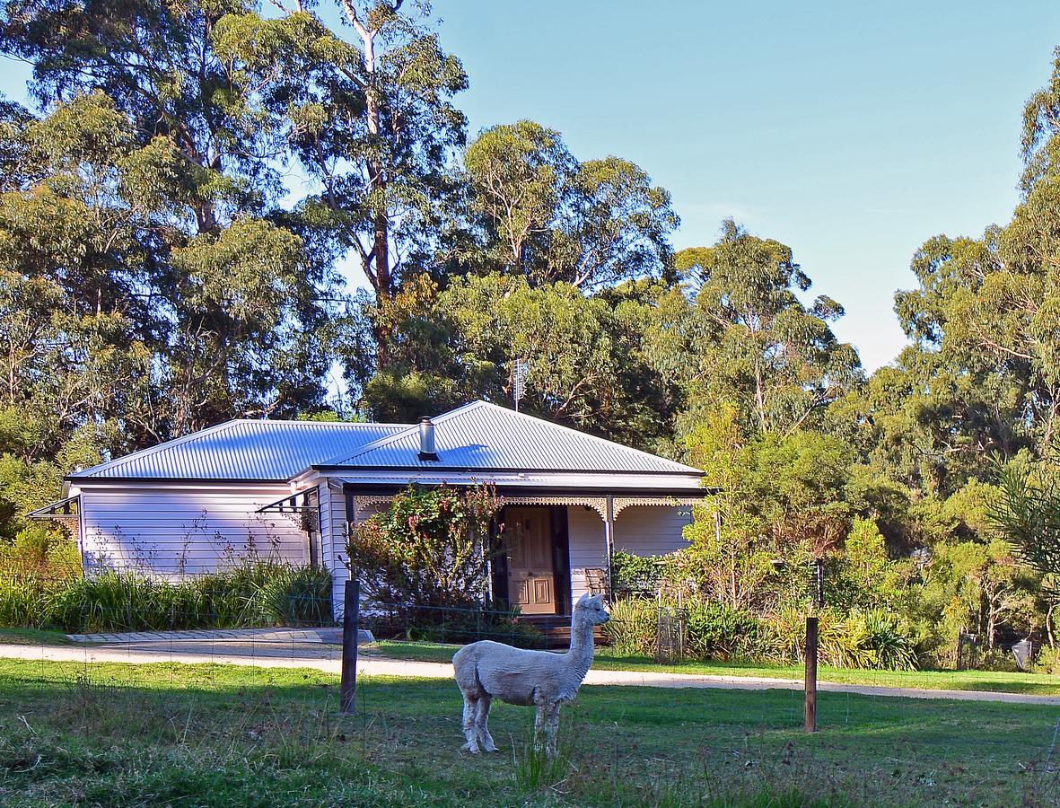 Araluen Park Cottages Lakes Entrance Extérieur photo