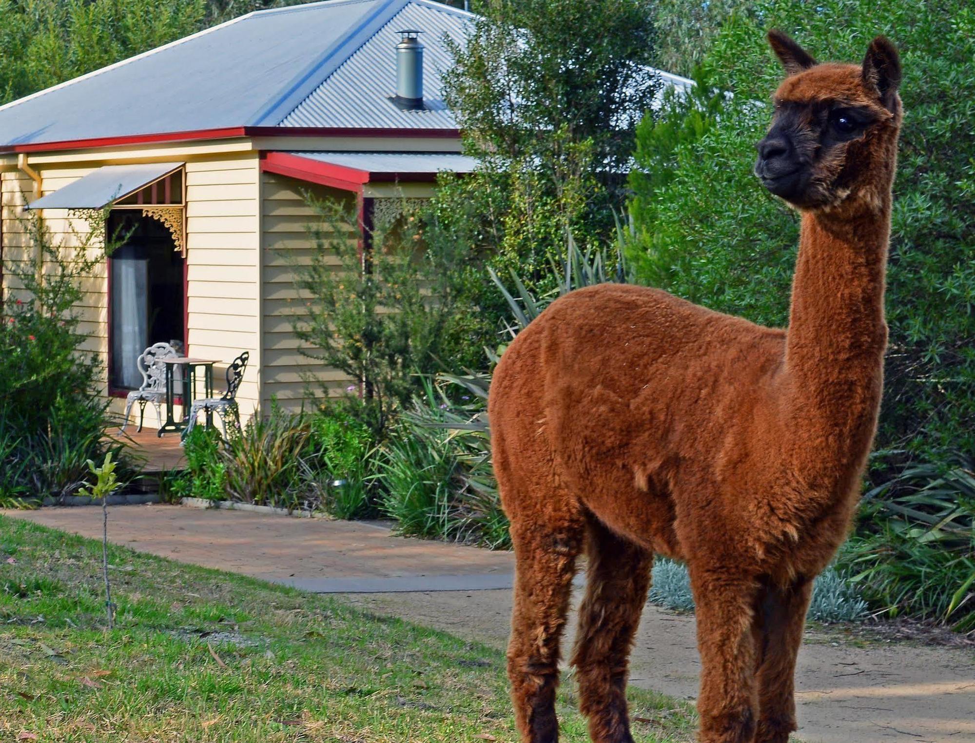 Araluen Park Cottages Lakes Entrance Extérieur photo