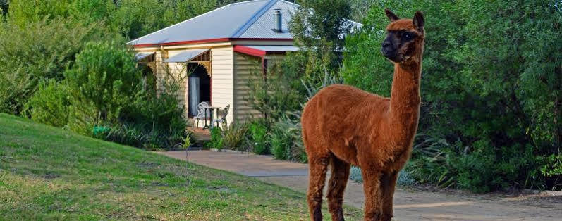 Araluen Park Cottages Lakes Entrance Extérieur photo